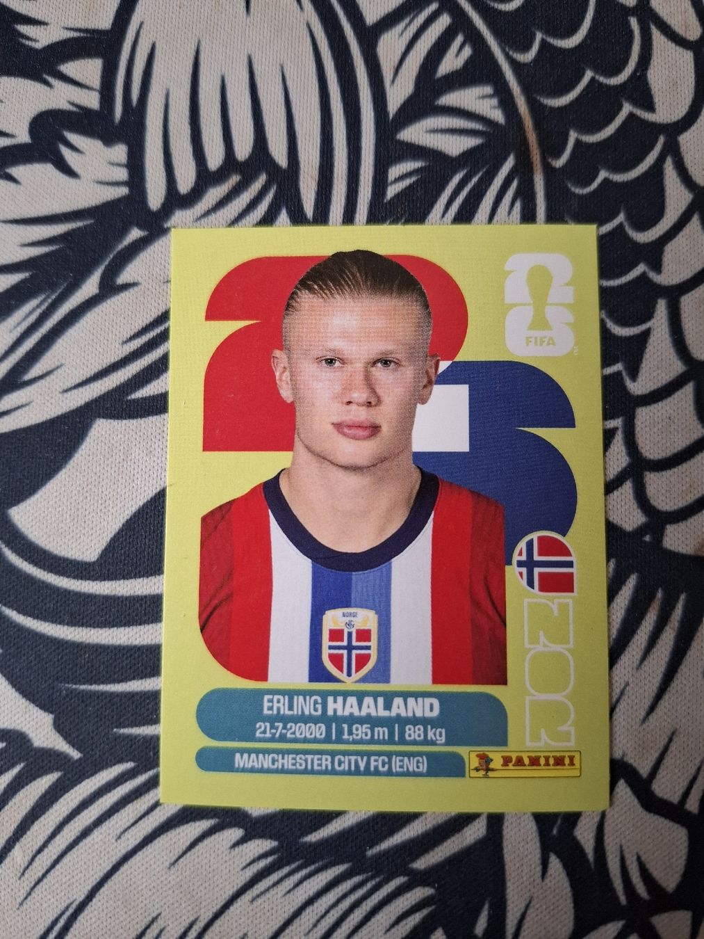 Panini Cartes à collectionner: Panini Haaland – Neuf (Voir description) à Oberbuchsiten par remady87