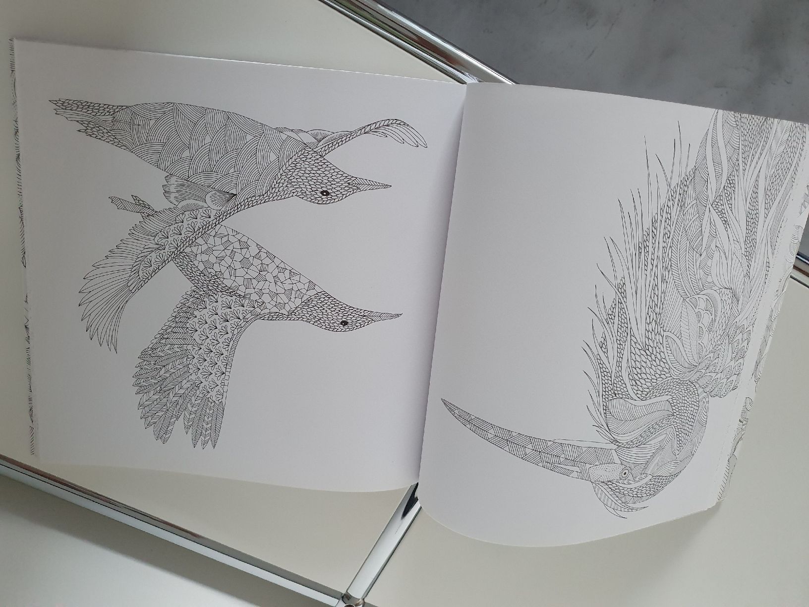 Libri: Ausmalbuch – Nuovo e nell'imballaggio originale da Steinach venduto da Xamax18 1