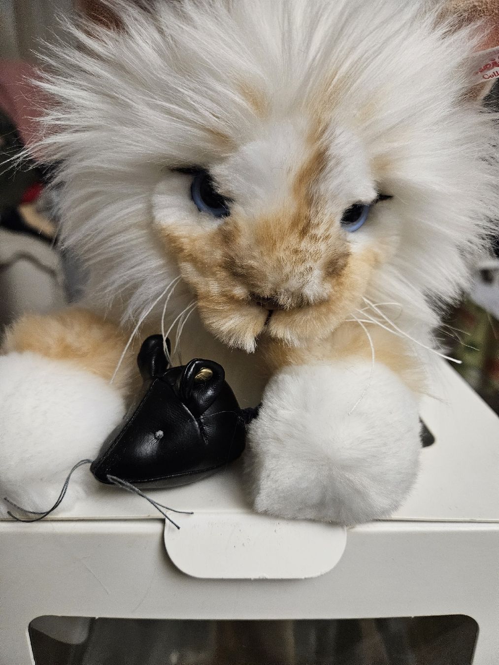 Steiff Poupées: Karl Lagerfeld Choupette Steiff – Neuf avec emballage d'origine à Aesch ZH par sam_92dd 1