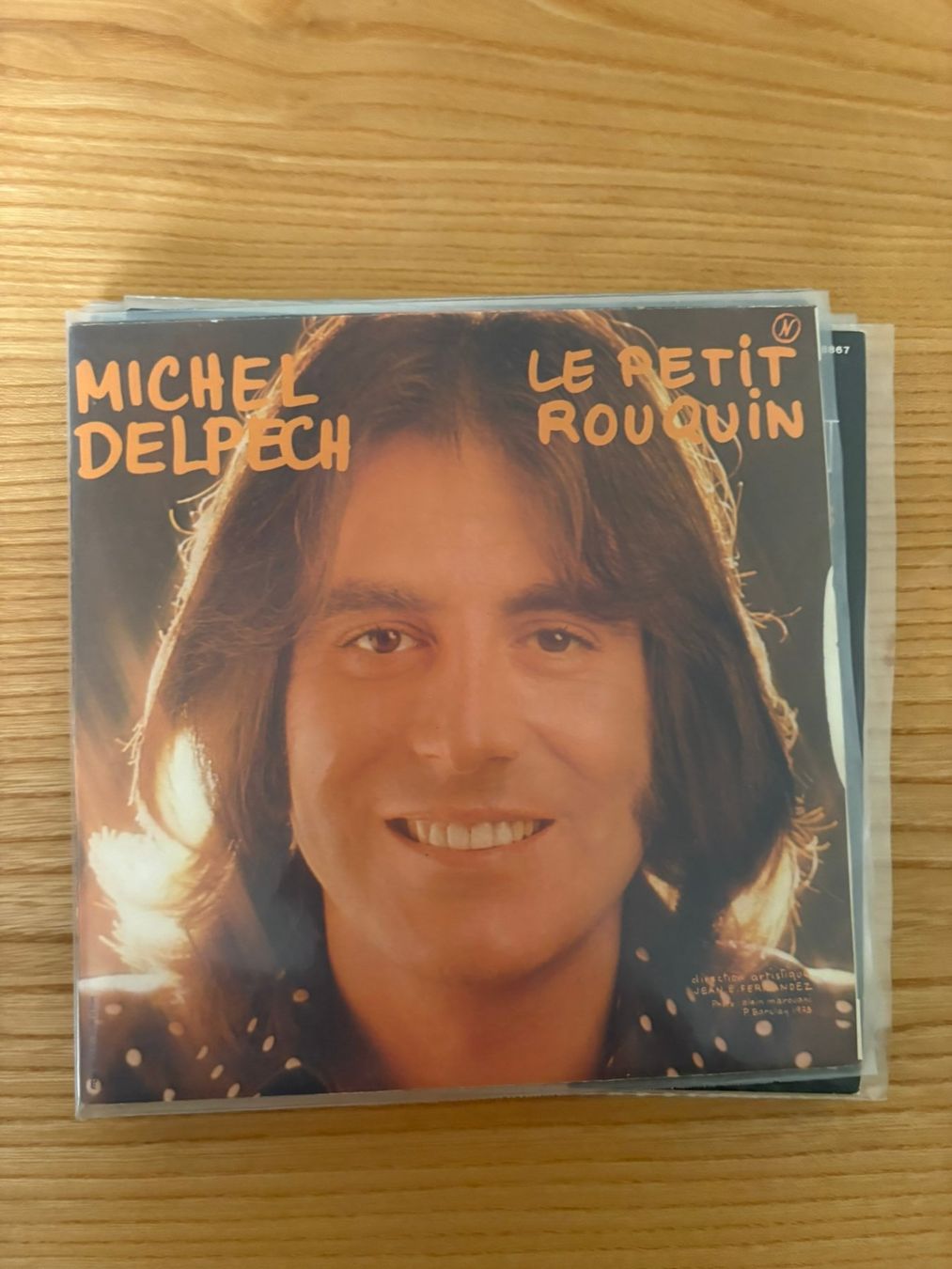 Vinyles: Michel Delpech - Le Petit Rouquin – D'occasion à Zofingen par Bigron