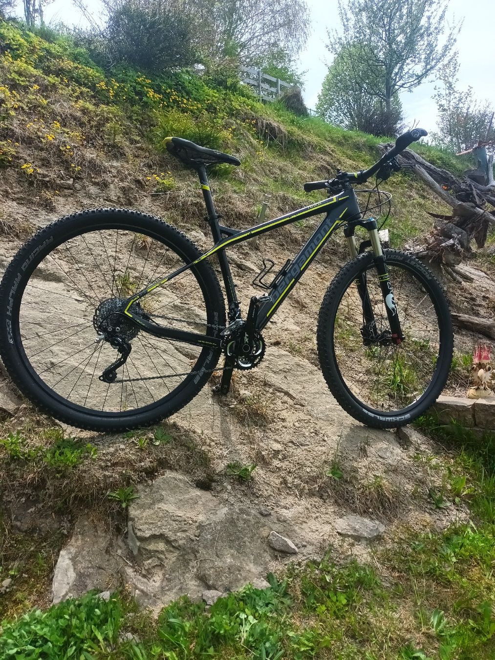Bergamont Vélos: BERGAMONT Revox 9.4 Carbon – D'occasion à Wald AR par Elan16 7