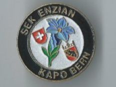 Plaketten & Abzeichen: Kapo Bern SEK Enzian, Pin – Gebraucht aus Zürich von t24_de