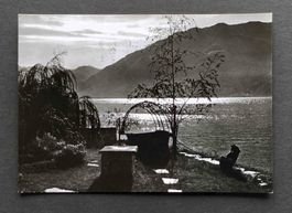 AK Locarno Controluce