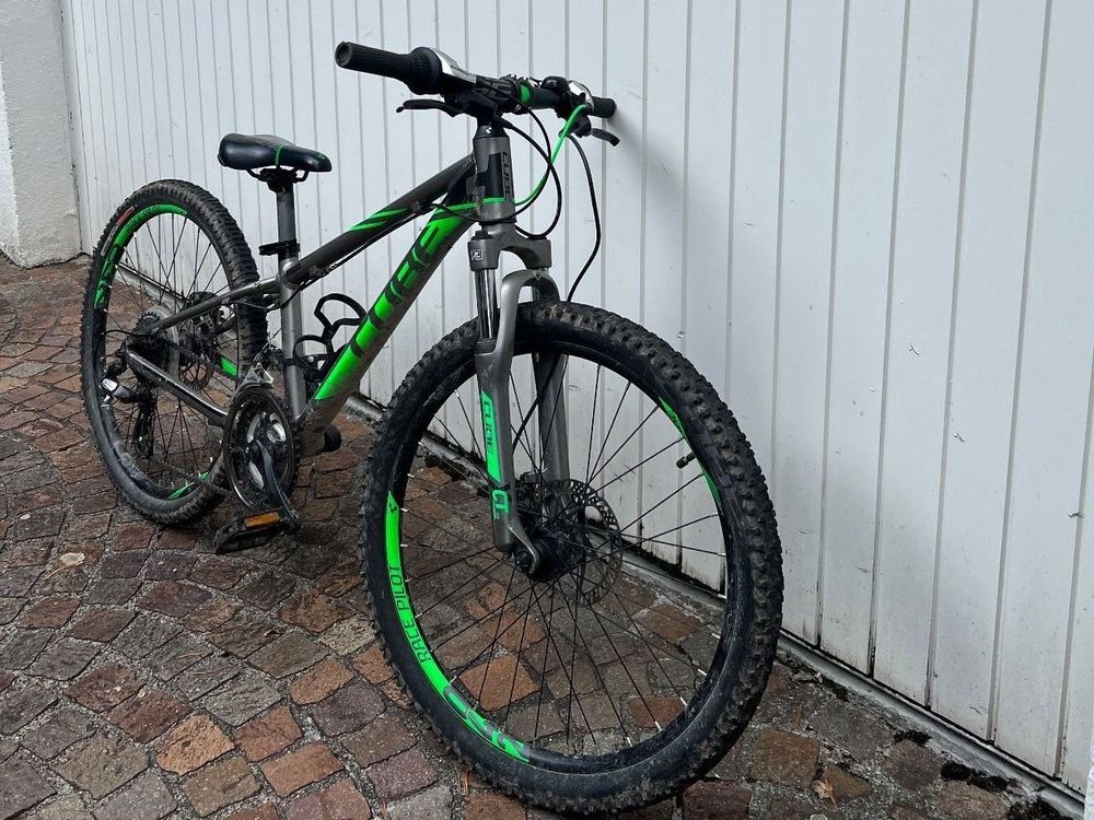 Cube Mountain Bike Kaufen auf Ricardo