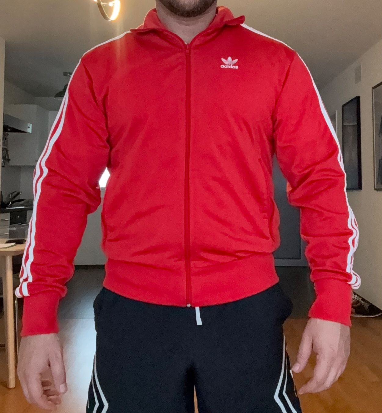 Adidas Giacche: Adidas Original Trainer Oberteil Grösse S – Usato da Rheinfelden venduto da RetroX1 1