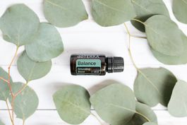 DoTerra Balance Öl, Erdend, 15ml - AUSVERKAUF!!!