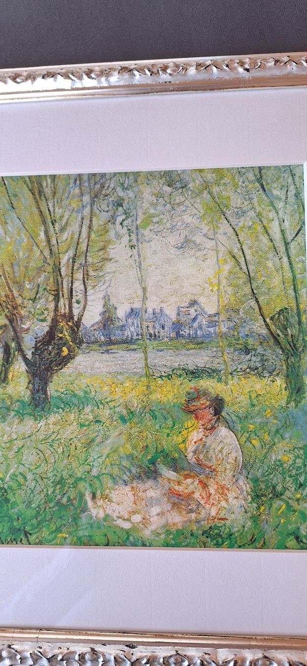 Foto & Immagini: Claude Monet Bild – Usato da Achseten venduto da schwiri035 3