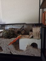 Kleintierkäfig / Terrarium