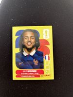 Panini FRA 5