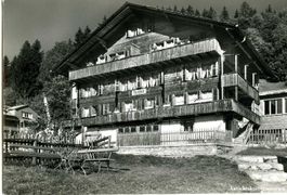 Beatenberg  Waldegg Chalet Talblick 1966