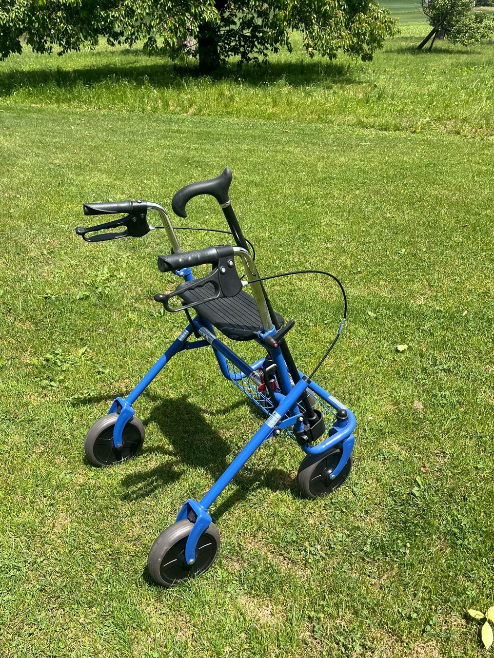 Ausili per la deambulazione: Rollator Zusammenklappbar – Usato da Allmendingen b. BE venduto da juair 7