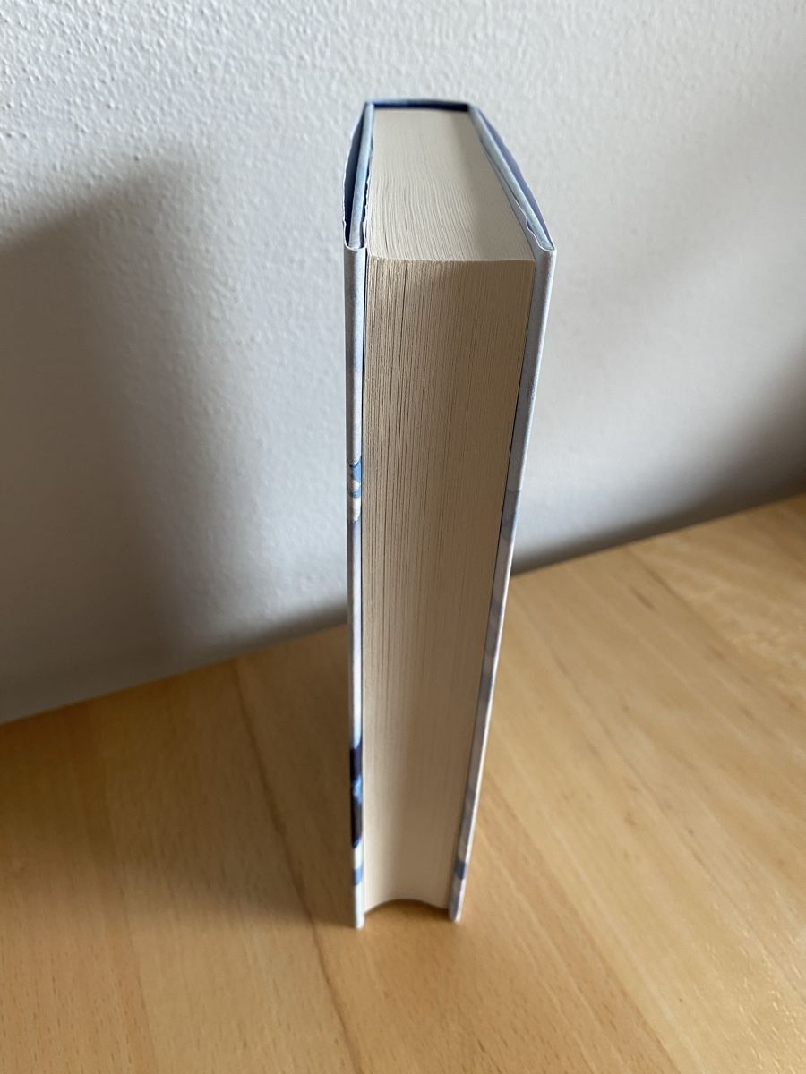 Libri: Über allen Bergen - Valentine Goby – Usato da Schwarzenburg venduto da Michellu 3