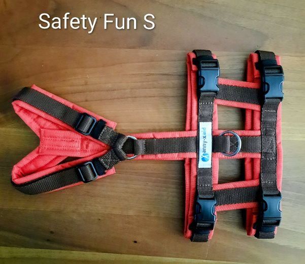 Anny X Guinzagli & Collari: Anny-x Hundegeschirr Safty Fun S – Nuovo (secondo la descrizione) da Berg TG venduto da ranch1