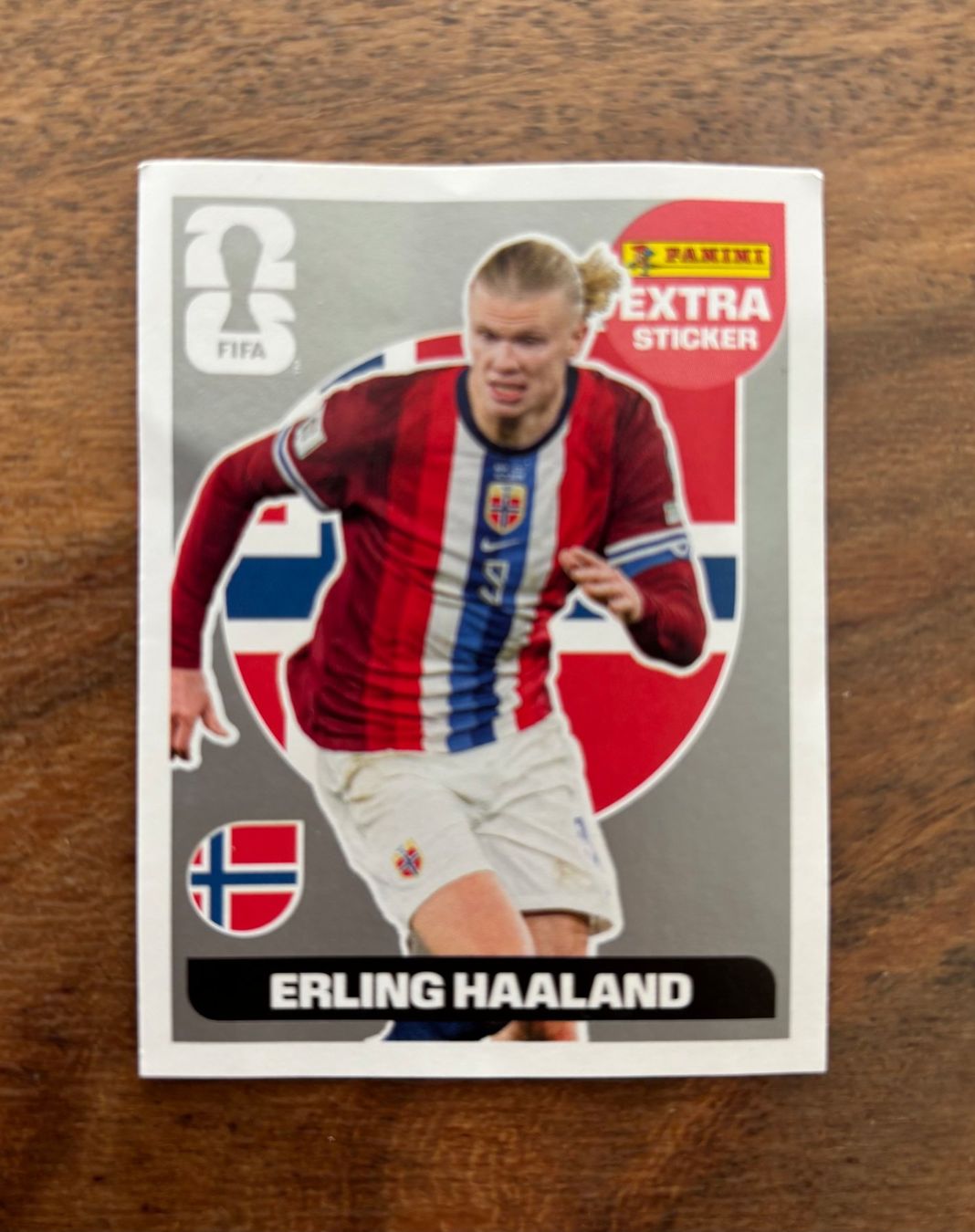 Panini Carte collezionabili: Panini WM 2026 Extra Sticker Silber – Usato da Schlatt TG venduto da dr.dree87