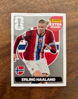 Panini WM 2026 Extra Sticker Silber