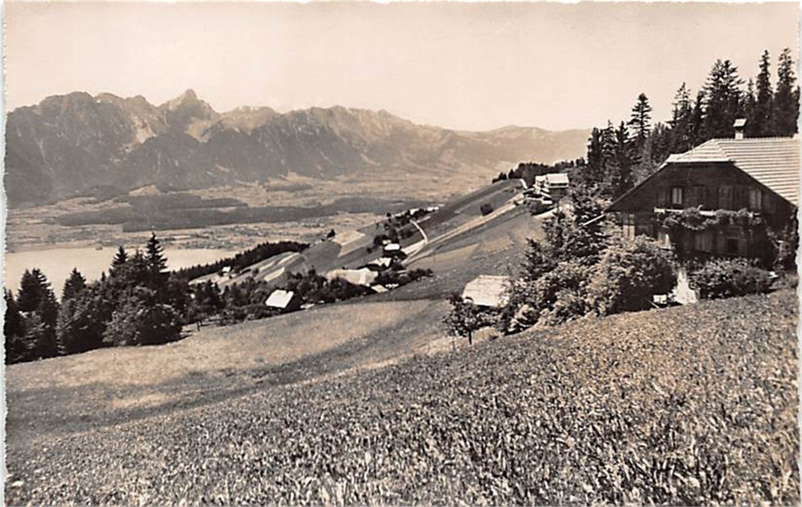 Cartoline postali: Haltenegg, Hotel Pension Haltenegg – Usato da Ottikon b.Kemptth. venduto da Neptun1974