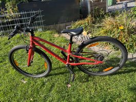 Kinderfahrrad Spezialized Jett 24 Zoll rot gebraucht