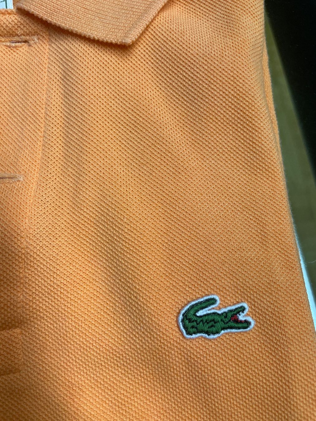 Hemden, T-Shirts & Polos: Hübsches Lacoste Kids Polo – Gebraucht aus Freidorf TG von ibipatria 1