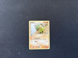 Endivie 44/101