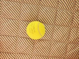 Tennis Ball
