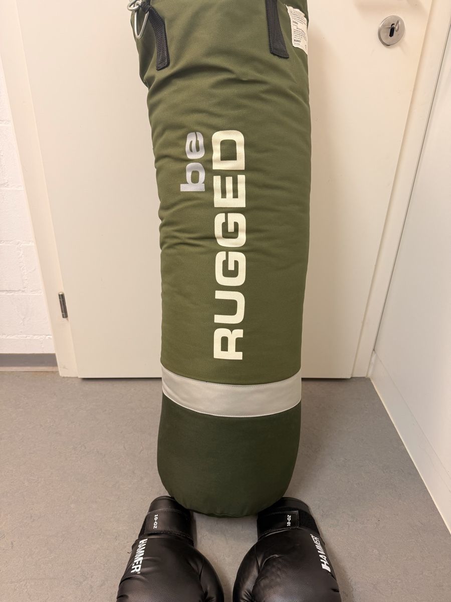 Sacchi da boxe: Boxsack mit Boxhandschuhen – Usato da Seengen venduto da Yannick_Herzig 3