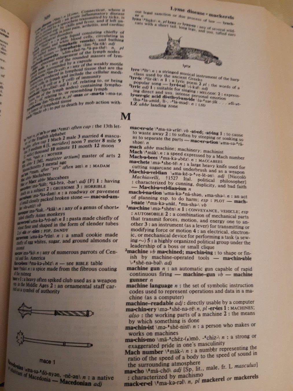 Libri: Webster's New American Dictionary – Usato da Bülach venduto da blackhawk21 3