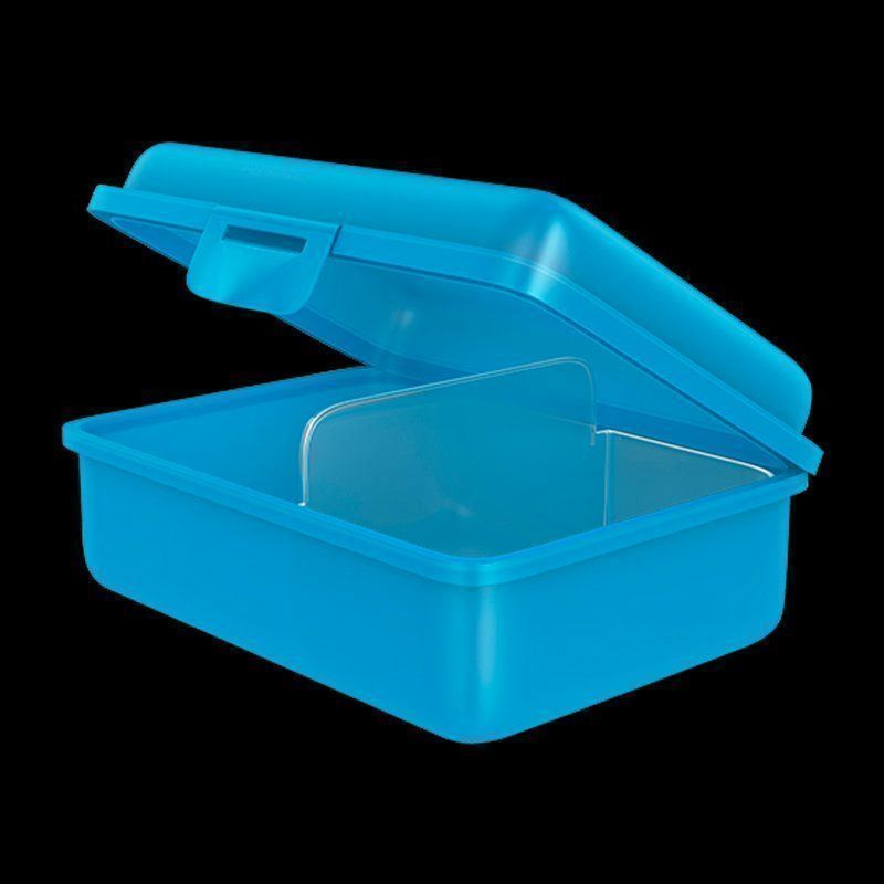 Contenitori & Simili: Fizzii Lunchbox mit Trennfach Eiswelt – Nuovo e nell'imballaggio originale da Walenstadt venduto da Trend-24 1