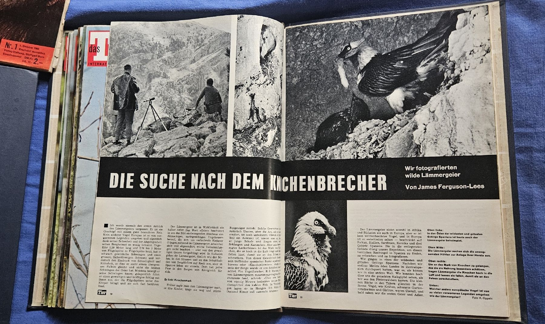 Riviste & Magazine: Zeitschriftensammlung "Das Tier" , 5 Hefte +  5 Ordner – Usato da Kaltacker venduto da Cougar01 4
