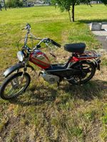 Pony Breitwand mit Sachs 503 HG Motor