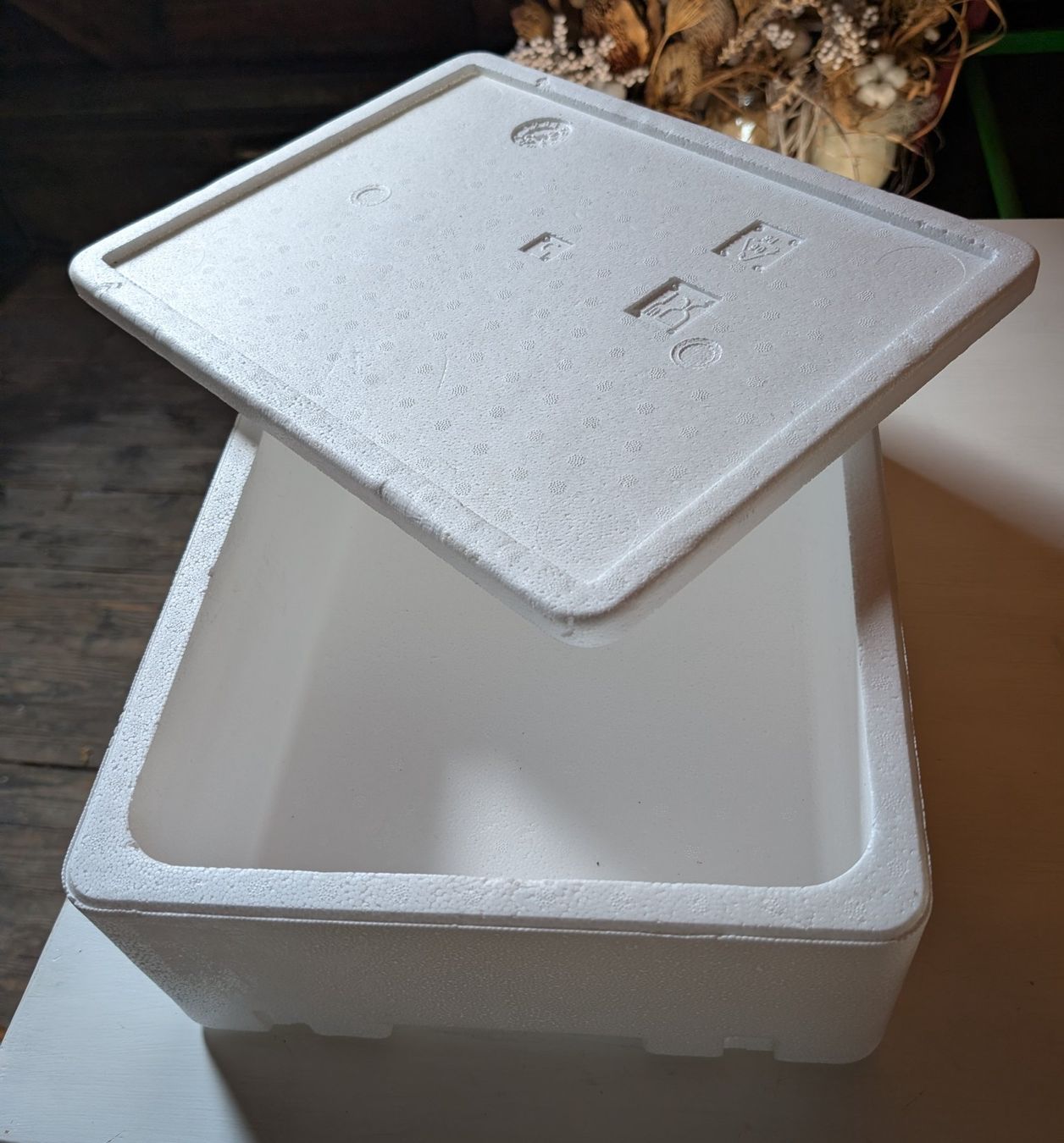 Frigoriferi & Refrigeratori: Styroporbox, Isolierbox 29x39cm – Usato da Zürich venduto da richardeigenmann
