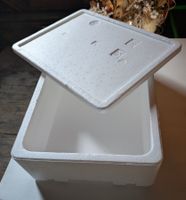 Styroporbox, Isolierbox 29x39cm
