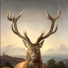 Profile image of Cervo