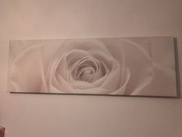 Grosses Rosenbild, Leinwandbild, Wanddeko 50x150cm