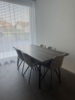 Esstisch mit 8 Stühlen