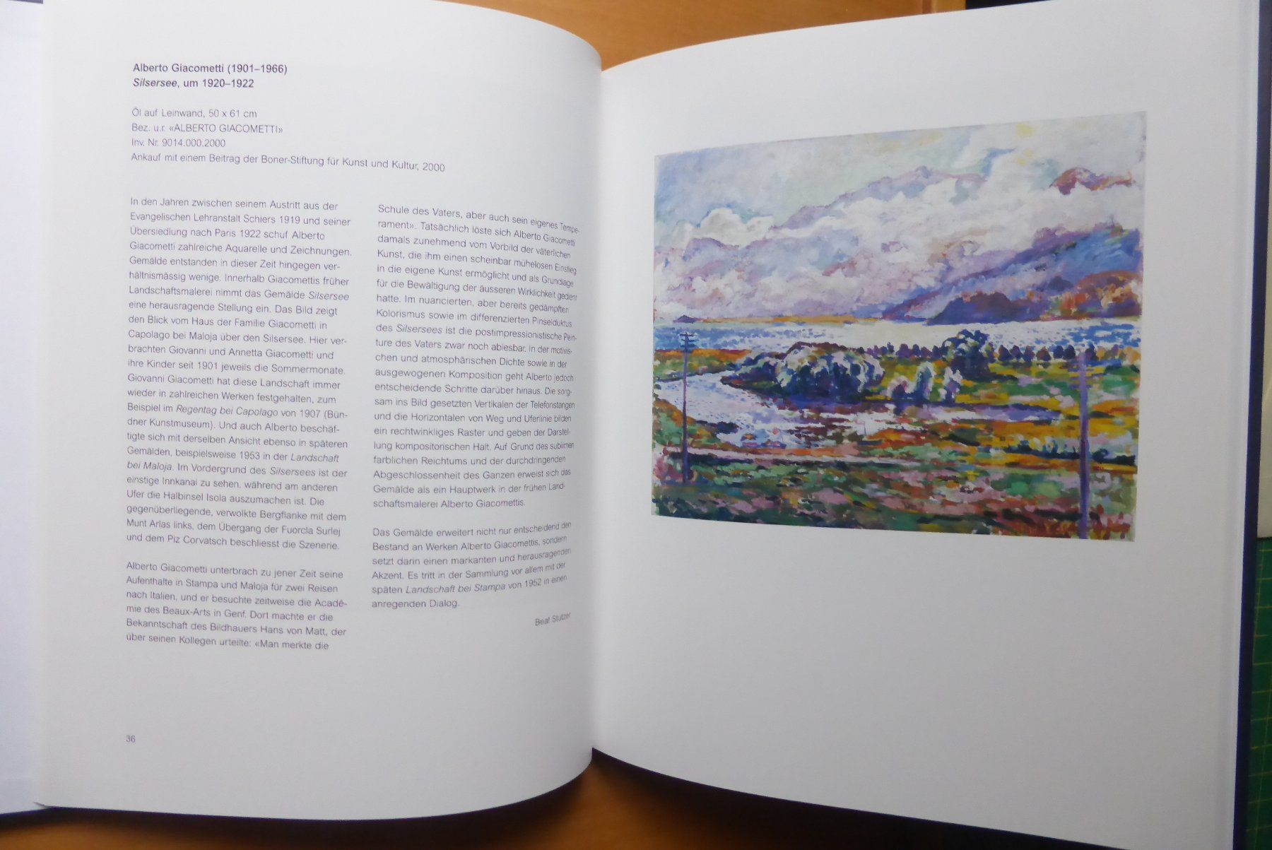 Libri: Kunst CH - Angelika Kauffmann bis Hans Danuser – Nuovo e nell'imballaggio originale da Brunnadern venduto da lesezirkel 4