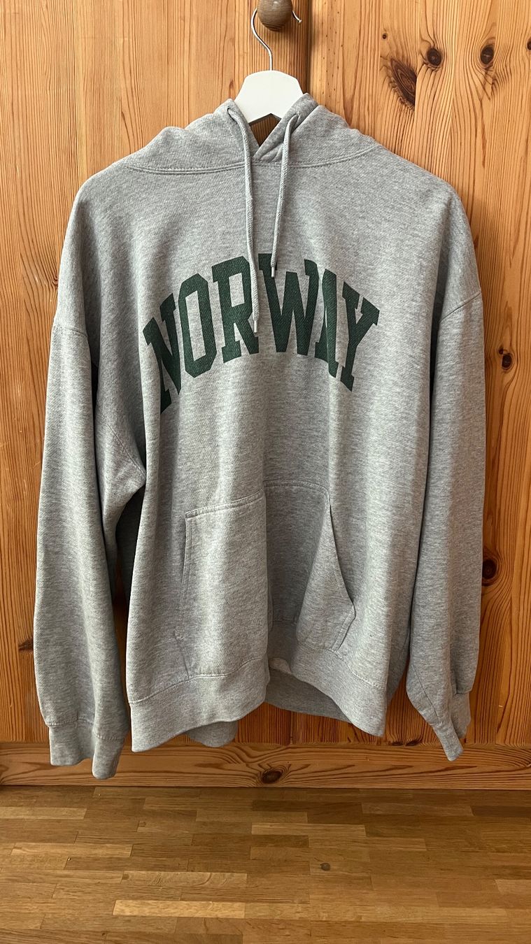 Pullover & Sweatshirts: Brandy Melville Pullover – Gebraucht aus Bern von fra_6nbz