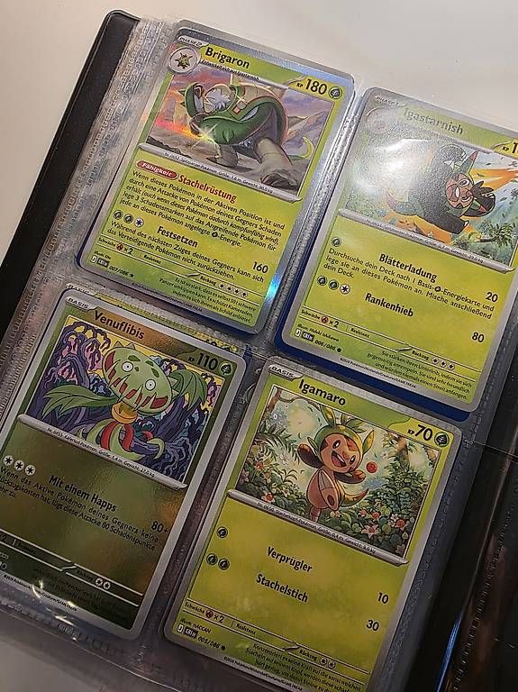 Pokémon Carte collezionabili: Pokémon Portfolio – Usato da Jens venduto da tra_da87 1