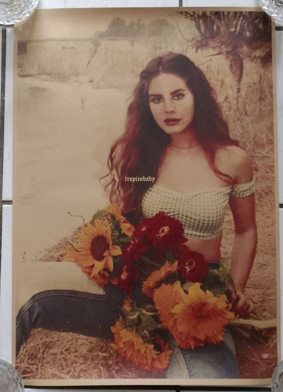 Poster & Bilder: Lana Del Rey Poster A3 Pop Diva – Neu (gemäss Beschreibung) aus Luzern von cryptonic79