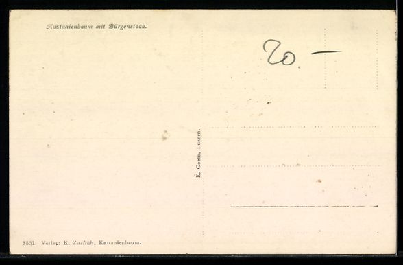 Cartoline postali: Luzern, Hotel-Pension Kastanienbaum mit  – Usato da Berlin venduto da bartko-reher 1