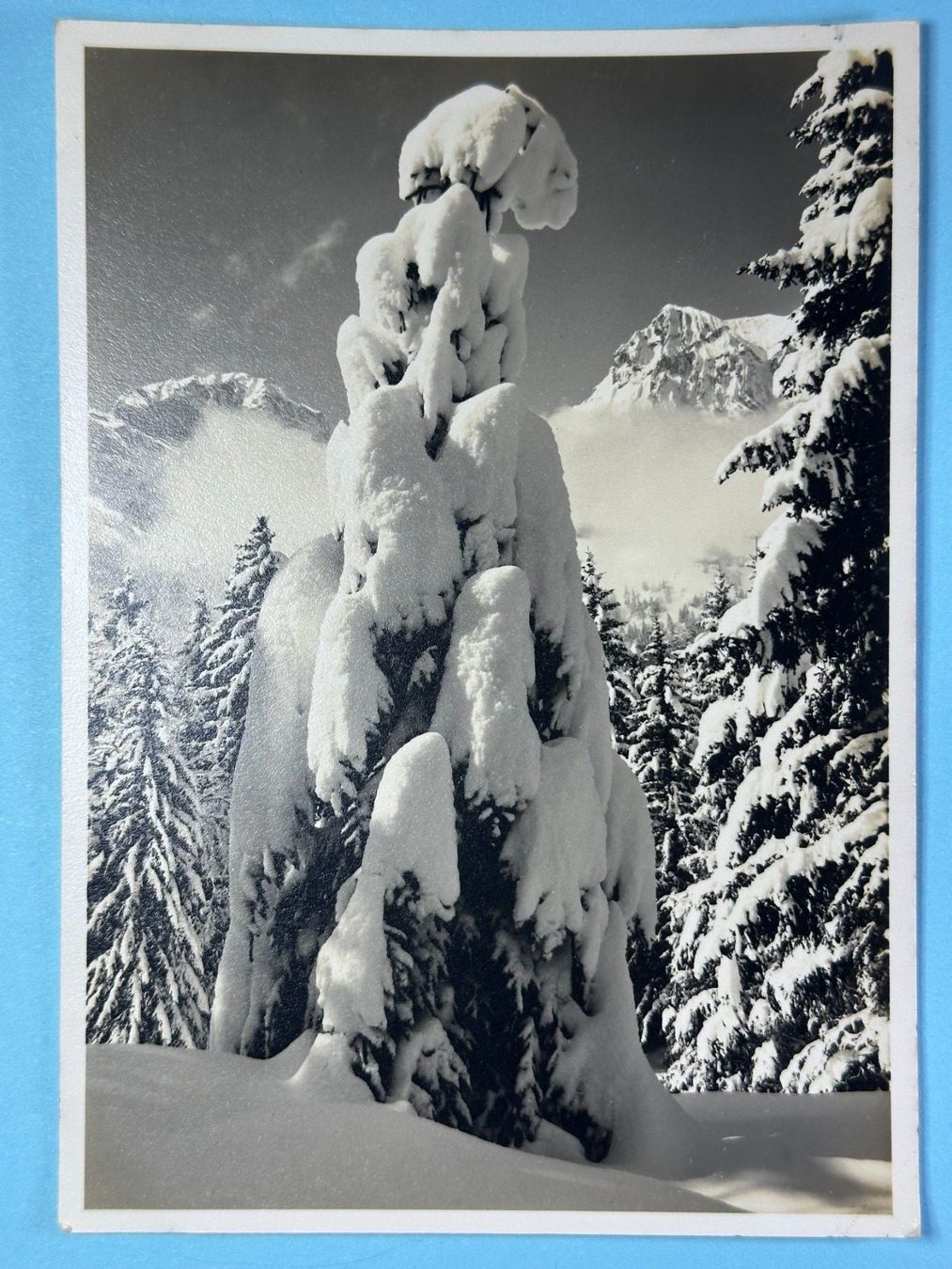 Cartes postales: Sonne und Schnee in Engelberg – D'occasion à Steg VS par _vinci_