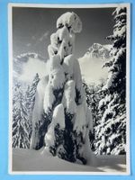 Sonne und Schnee in Engelberg