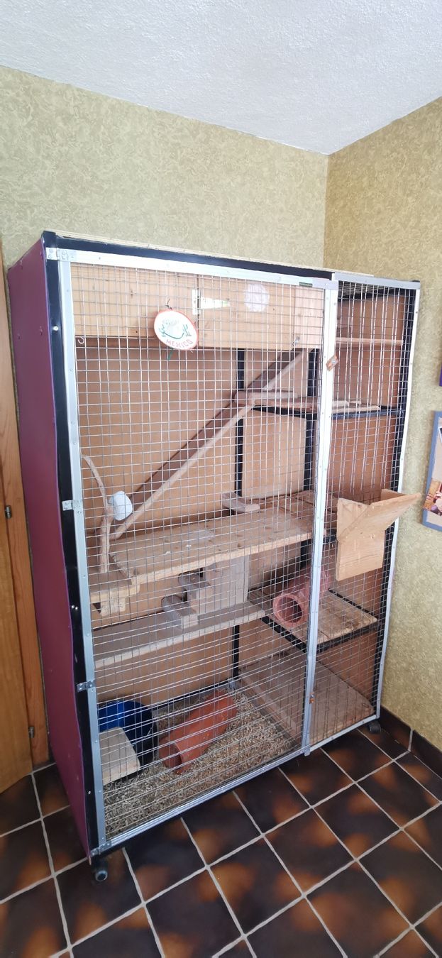 Gabbie, trasporto & Sicurezza: Grande cage pour chinchillas – Usato da Levron venduto da noceur1