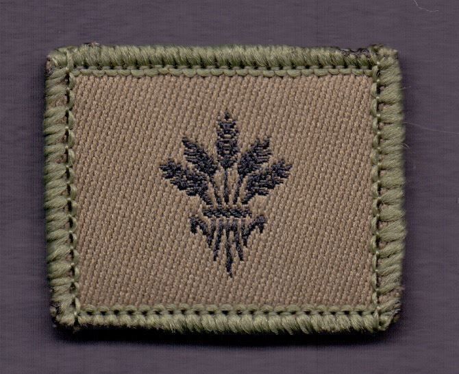 Placchette & Badge: Nachschubsoldat – Nuovo e nell'imballaggio originale da Koblenz venduto da Himmelsreiter