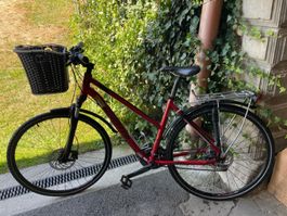 Wheeler Fahrrad Velo 