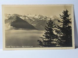 Berner Alpen von Rigi - Kaltbad aus