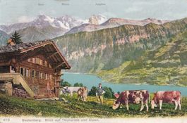 Landwirtschaft Beatenberg Bauernhof mit Kühen