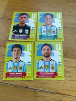 Panini ARG 2,6,7,20