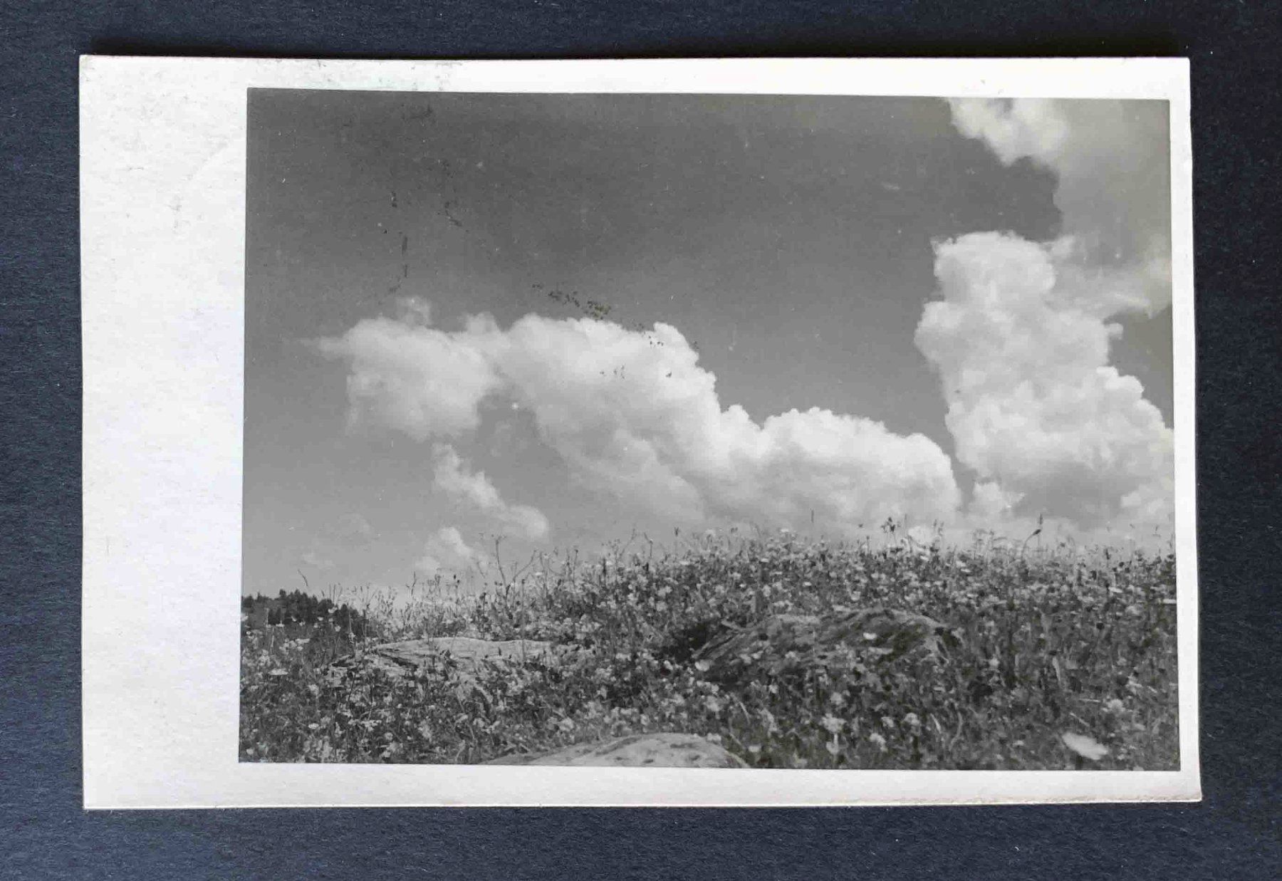 Cartoline postali: AK Landschaft mit Wolken – Usato da Goldau venduto da artelier1