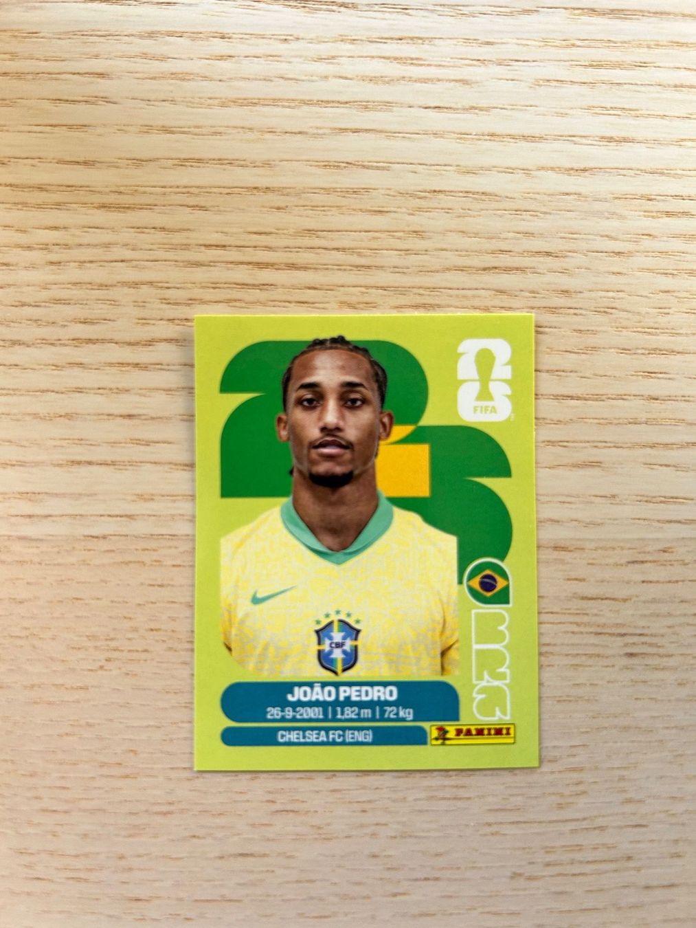 Panini Carte collezionabili: ⚽️ BRA 16 Panini – Usato da Steckborn venduto da DavidLM