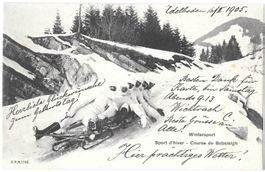 Wintersport Course de Bobsleigh